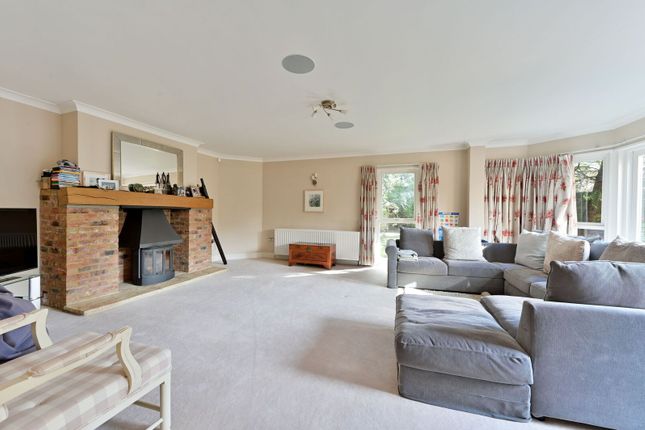 Eversley Park, Wimbledon Common photo 3