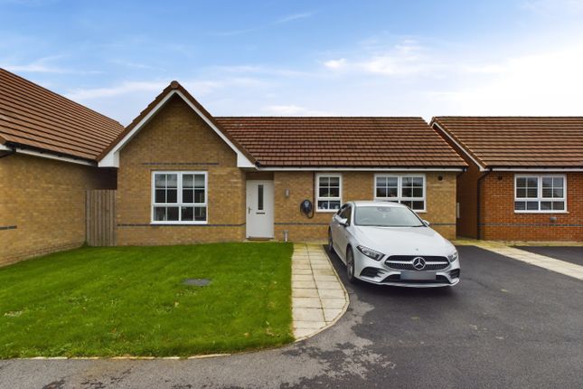 Thumbnail Detached bungalow for sale in Gardeners Lane, Barlby