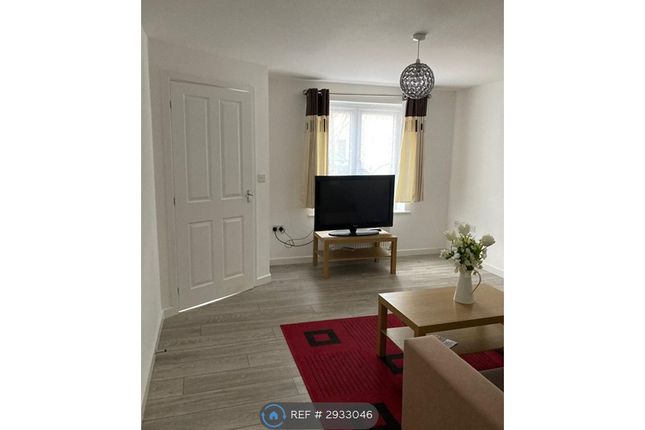 Cheltenham photo 2