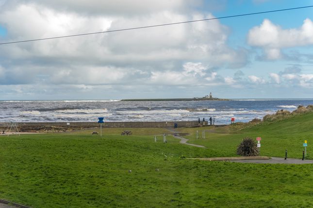 Semi-detached house for sale in Gordon Villas, Amble, Northumberland.