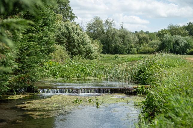 Millbrook Trout Farm-8.Jpg