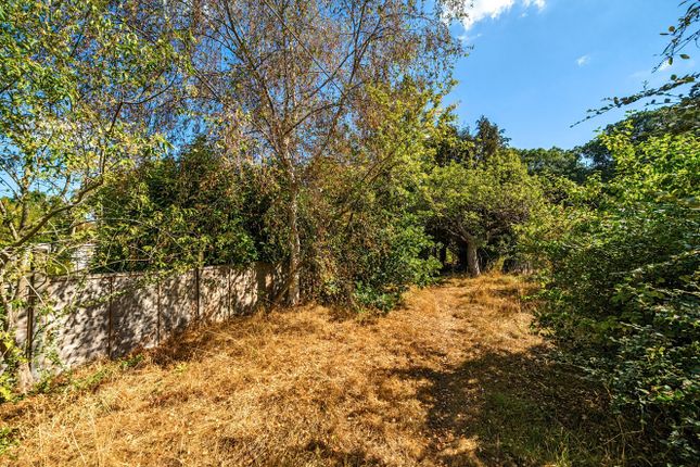 81, Birch Tree Avenue, Kent photo 3