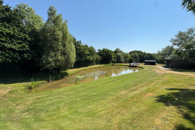 Islwyn, Llwyncelyn, Cardigan photo 2