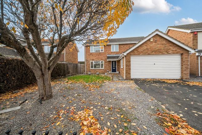 137447119690A249Aa04Da