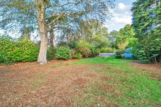 Sheets Heath, Woking photo 4
