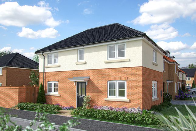 Ds12560 [Lh] 01 Sunflower Plot 166_Web