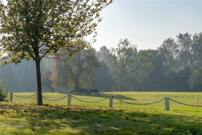Picture No. 12