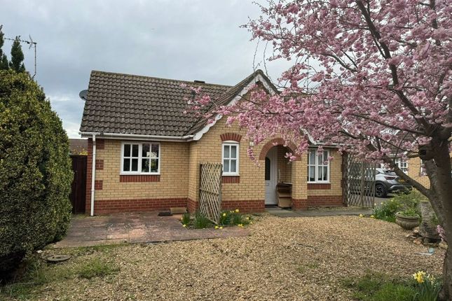 Thumbnail Bungalow to rent in Malt Drive, South Brink, Wisbech