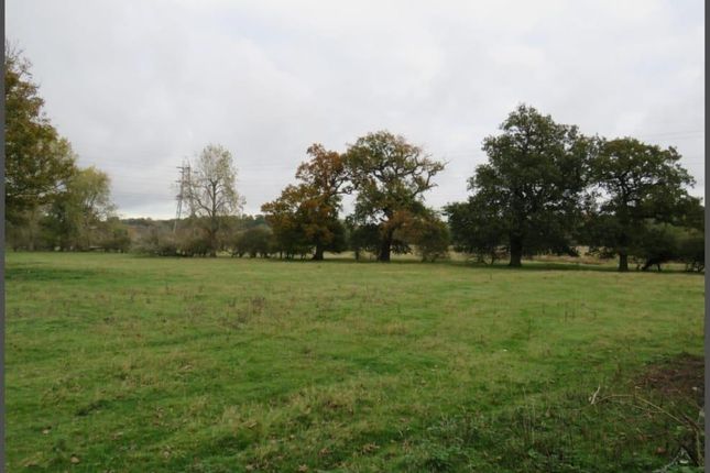 Old Watton Road, Norwich photo 5