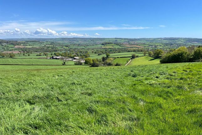 Thumbnail Farmhouse for sale in Shute, Axminster