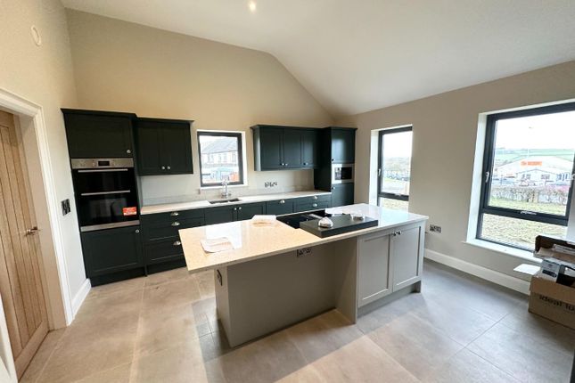 Detached house for sale in Tamnaherin Road, Cross, Londonderry