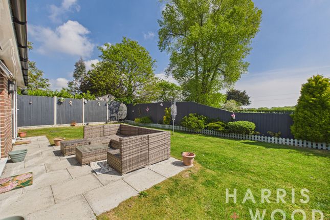 21 Whitegates Court, Little Clacton, Essex photo 4