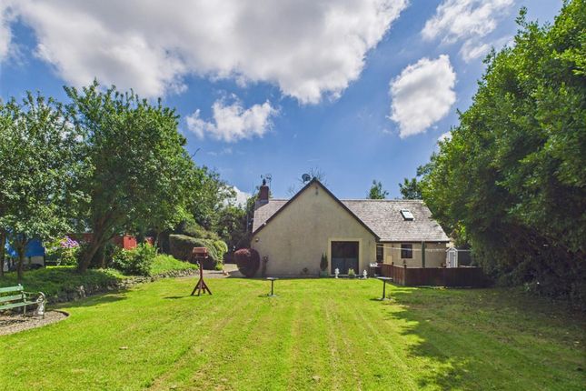 Primrose Cottage, Haverfordwest photo 2