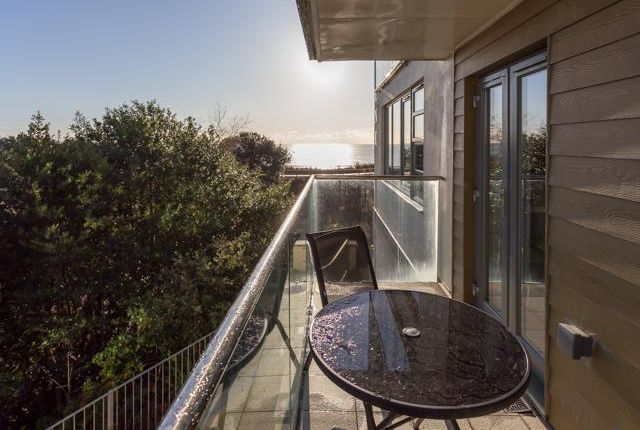 20A Studland Dene-4_640_X_480.Jpg