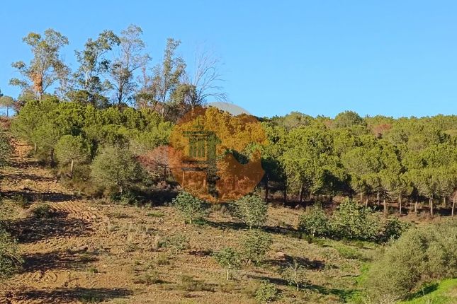 Land for sale in Fonte Do Penedo, Odeleite, Castro Marim