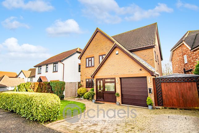 Thumbnail Detached house for sale in Bridport Way, Braintree