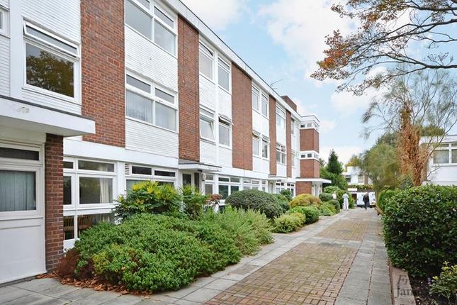 Minerva Lodge, London photo 4