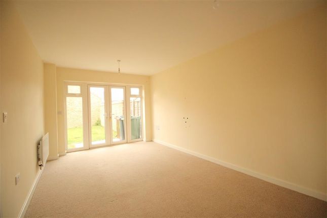 20, Ashford photo 4