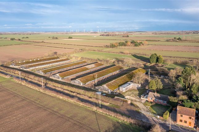 Bungalow for sale in Foston Lane Poultry Farm, North Frodingham, Driffield, East Yorkshire