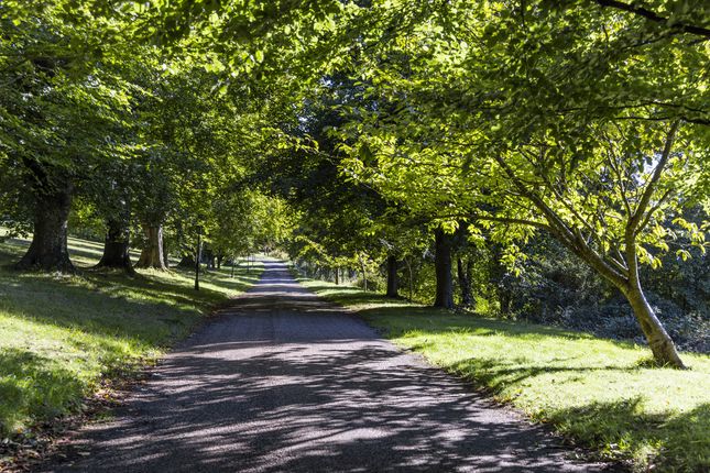 Greyfriars, Hogs Back, Guildford photo 4