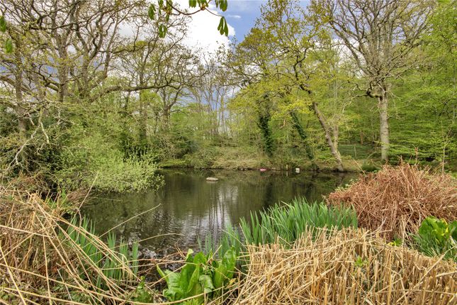 Woodlands