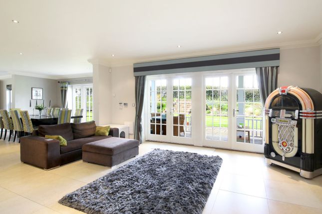 The Blue House,, Wilton Lane, Beaconsfield photo 4
