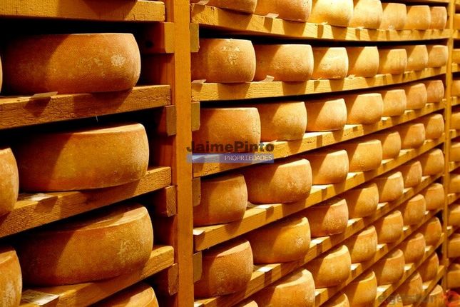 Thumbnail Warehouse for sale in Cheese Factory, Aguiar Da Beira E Coruche, Aguiar Da Beira, Guarda, Central Portugal
