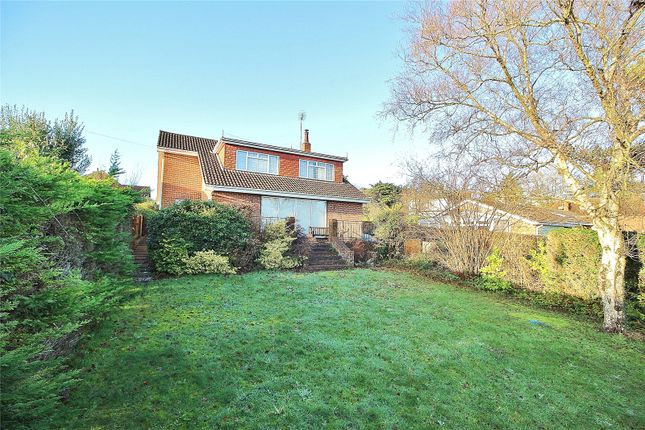 Thumbnail Detached house for sale in Mill Lane, High Salvington, Worthing, West Sussex