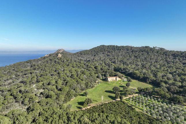 Thumbnail Villa for sale in Porquerolles, Provence Coast (Cassis To Cavalaire), Provence - Var