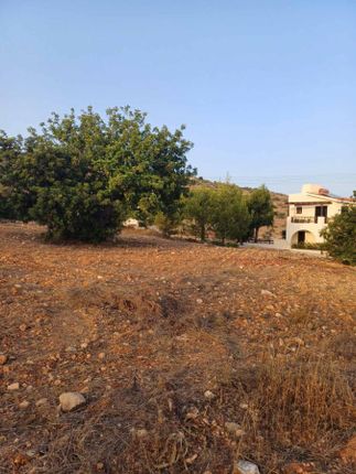 Land for sale in Koili, Pafos, Cyprus