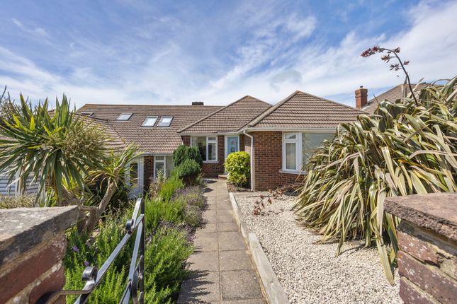 81 Wilson Avenue, Brighton photo 3