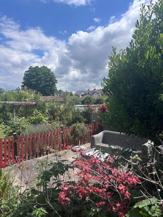 6, Haig Avenue, Rochester photo 4