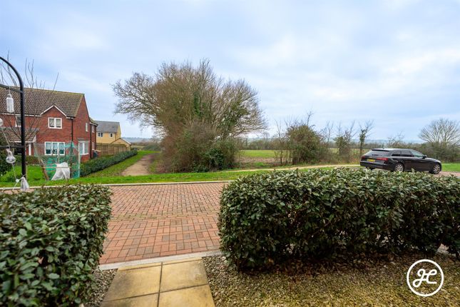 3, Daffodil Place, Bridgwater photo 2