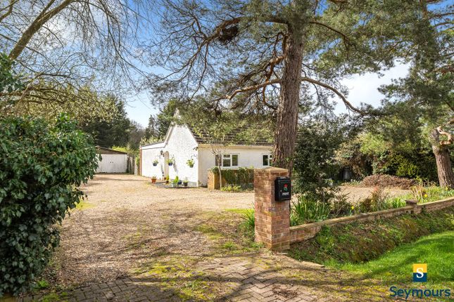 Thumbnail Bungalow for sale in Normandy, Guildford, Surrey