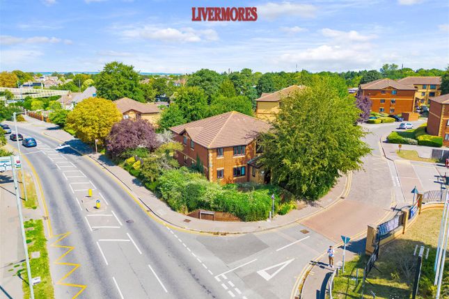 Dji_0214Dp.Jpg