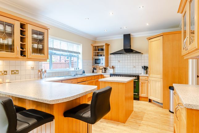 Kitchen3