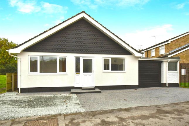 User_Edited_Photo-Db457230_User-Edited-305cd618-60