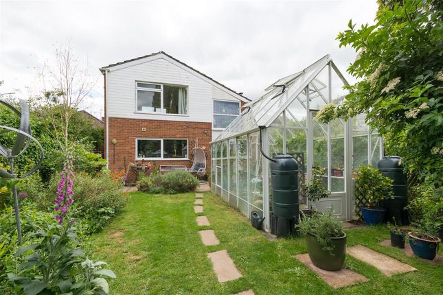 Thumbnail Detached house for sale in Ashford Road, Canterbury