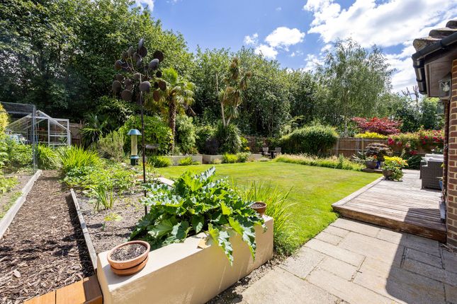 9 The Castle, Horsham photo 4