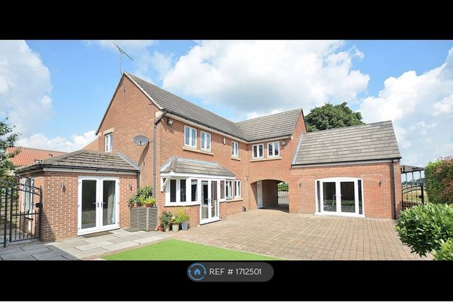 Thumbnail Detached house to rent in Castle View, Palterton