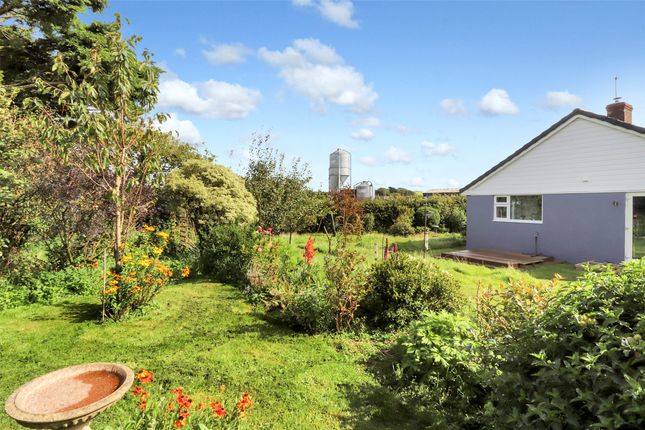 Detached bungalow for sale in Hartland, Bideford