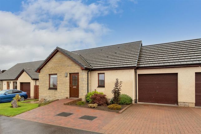 Detached bungalow to rent in Destiny Drive, Scone, Perth