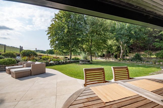 The Views At The Rear