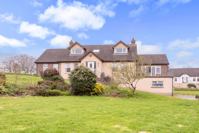 Thumbnail Detached house for sale in Tullymally Road, Portaferry, Newtownards, County Down