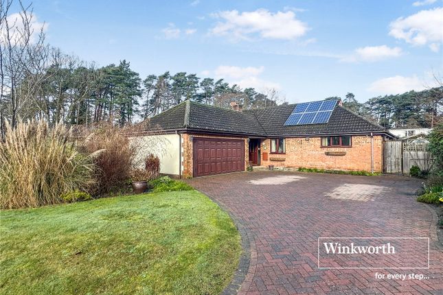 4-bed bungalow on 7, Webbs Way, Ringwood, £675,000