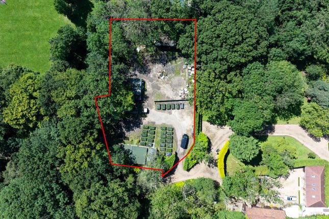 Woodbury-Manor-Plot-Shot- Whole Plot.Jpg