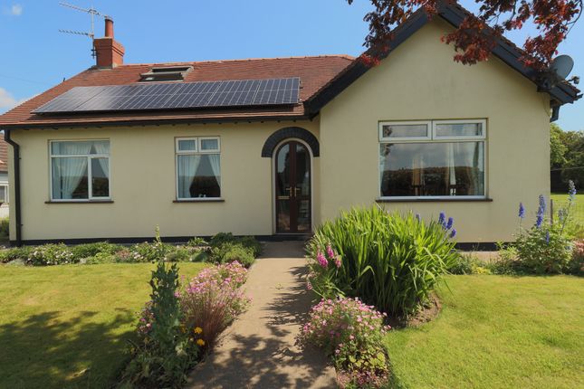 Grafton, Royal Oak, Filey photo 2