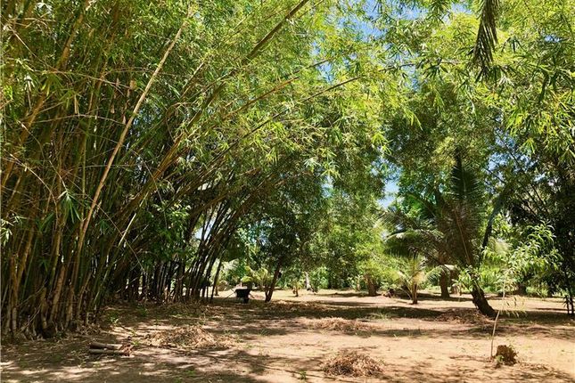 Land for sale in Aborlan, Palawan, Philippines
