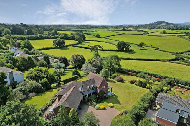Rowan House Ogwell Green, Newton Abbot photo 2