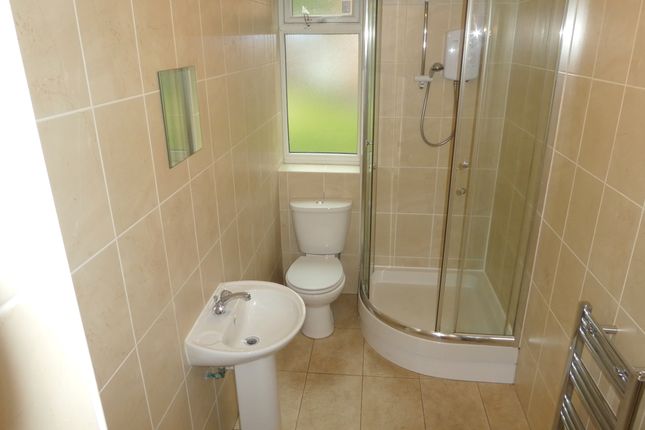 Lower Bathroom